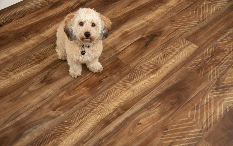 38009 - American Floor & Home