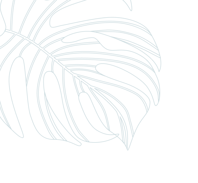 Monstera pattern