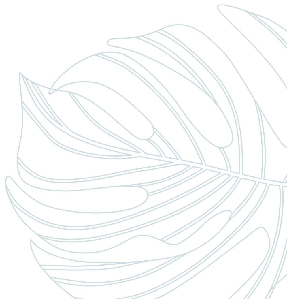 right Monstera - American Floor & Home