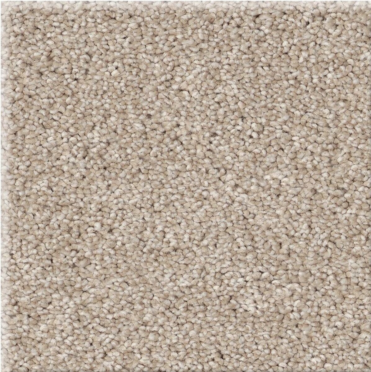 Vivid Touch 1 Cafe Latte e1783457132957 - American Floor & Home