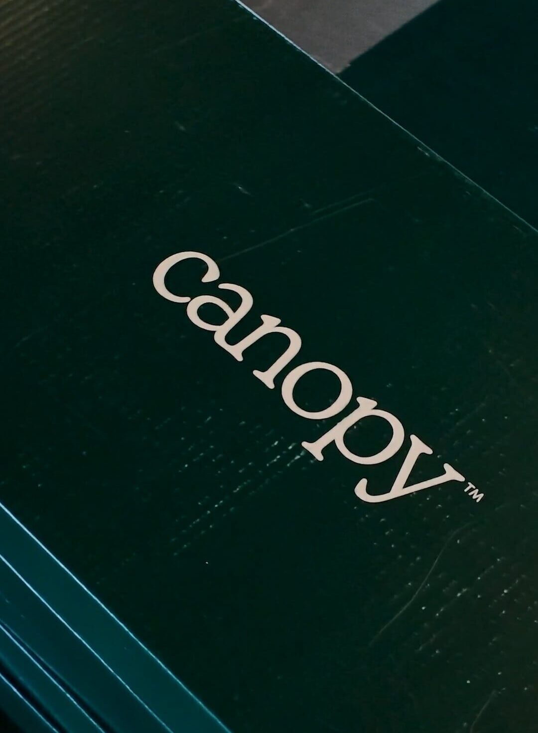 canopy poster e1787589086498 - American Floor & Home
