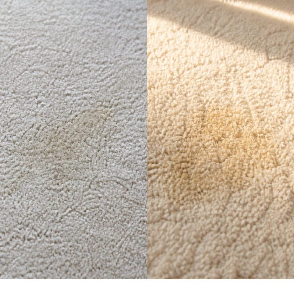 staining on light carpet