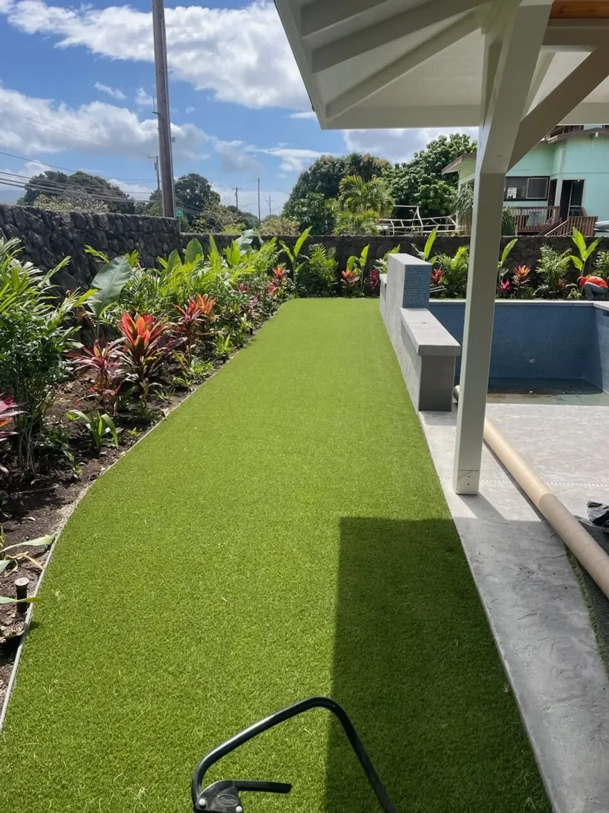 Foundations Liberty turf in a sunny backyard